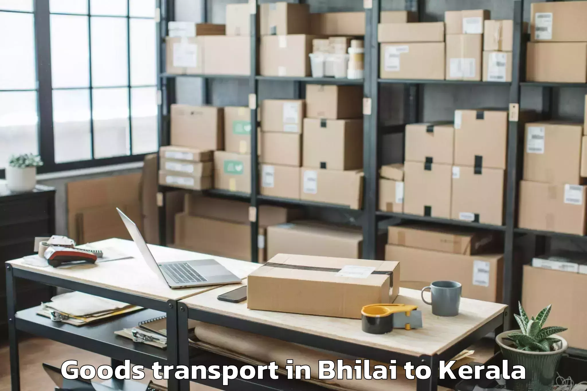 Trusted Bhilai to Pangodu Goods Transport